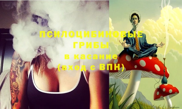 ECSTASY Армянск